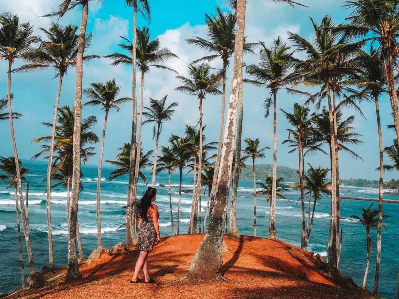 Coconut Tree Hill