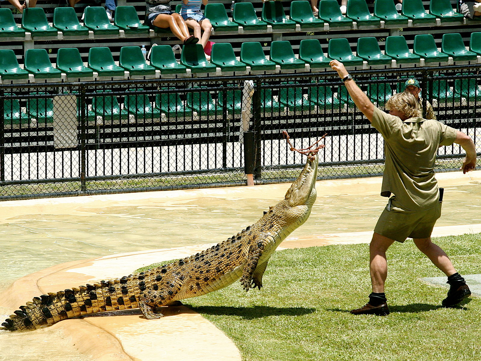 Steve Irwin feeding Casper, a saltwater crocodile, at Australia Zoo in December 2005