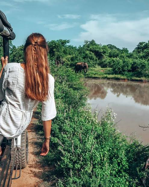 A guest watching a wild elephant across the water from the back of a safari jeep in Udawalawe