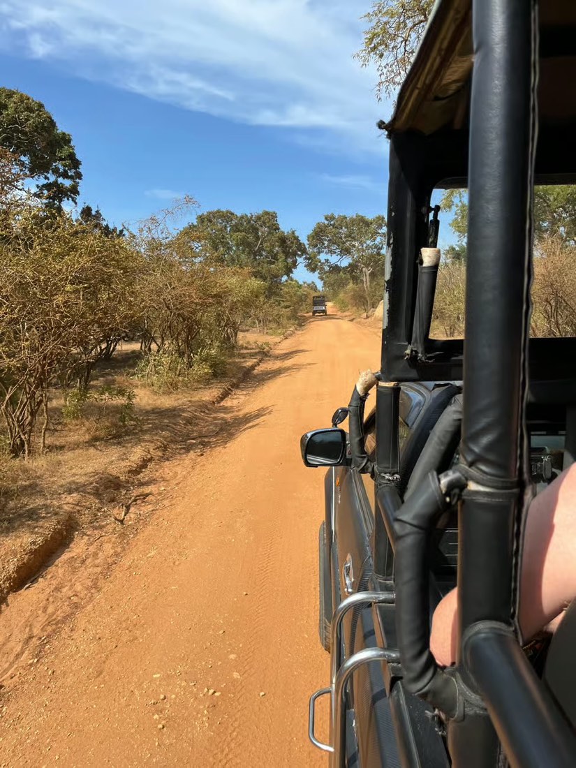 The view from the safari jeep down a red dirt track in Yala